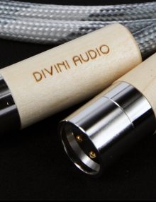 divini-audio-x-s12-xlr